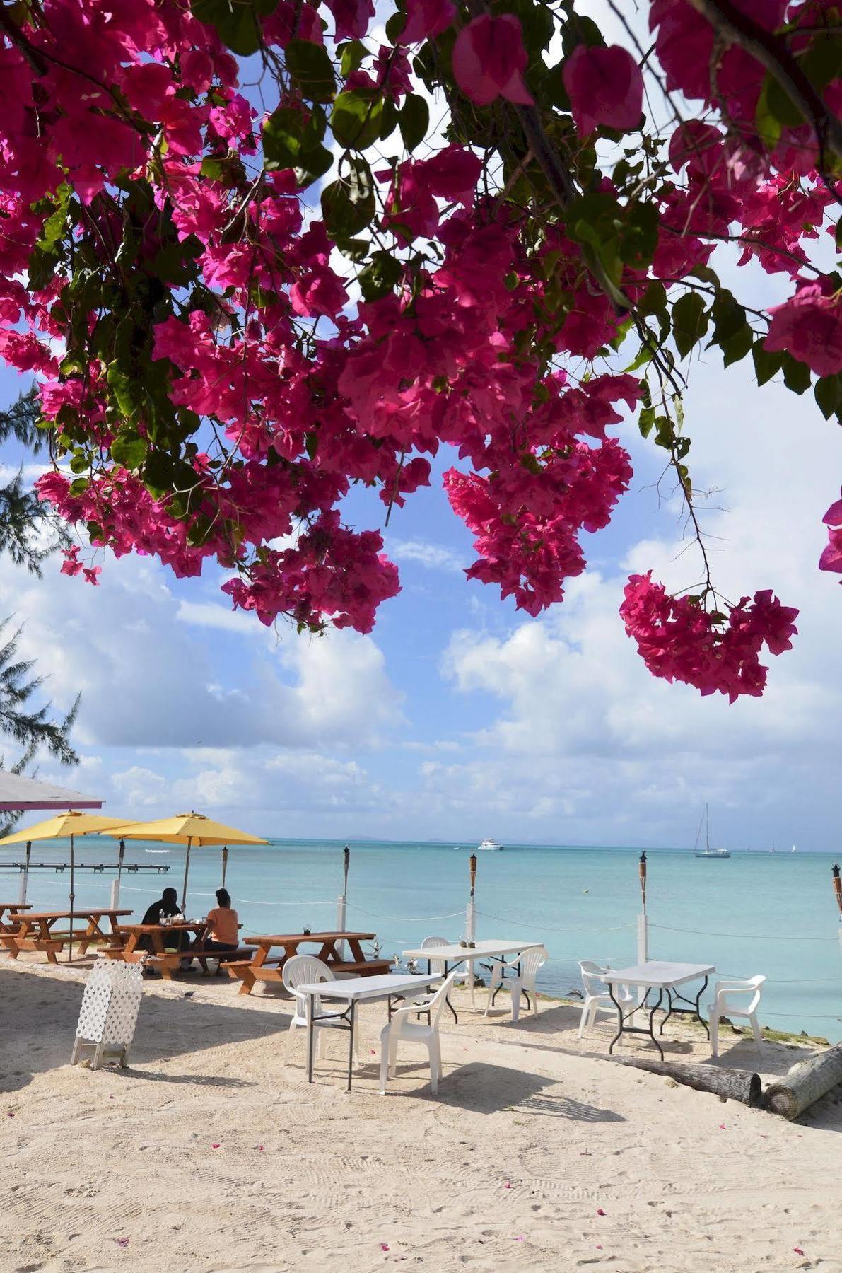 Anegada Reef Hotel The Settlement Екстериор снимка